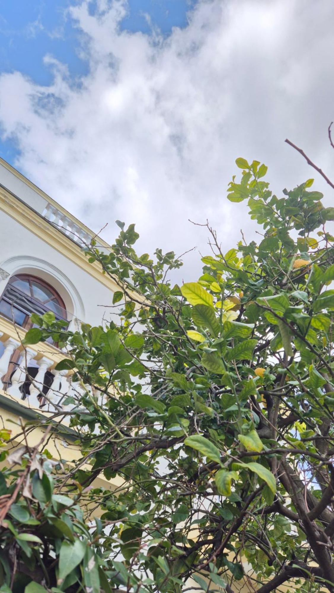 Relais Villa Montedonzelli เนเปิลส์ ภายนอก รูปภาพ